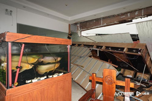 多圖俯瞰災(zāi)后廣州鐘落潭鎮(zhèn) 廠房受損嚴重,屋頂鐵皮被掀飛