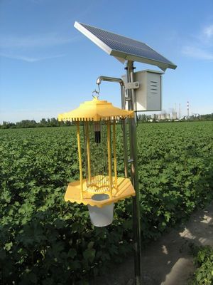 智慧農業之光 太陽能滅蟲燈的綠色革新與技術解析